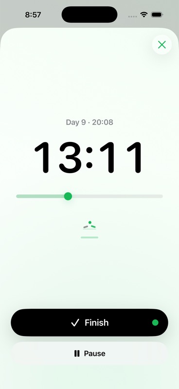 Run timer screen with remaining time and finish action